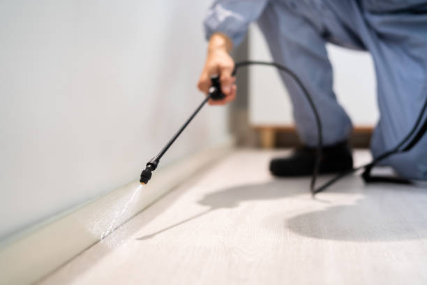 Licensed Rodent Control service in North Vacherie, LA - Nex Pest Control
