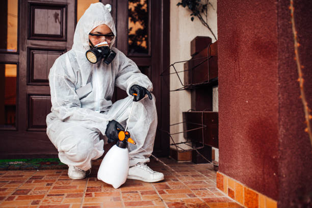 Reliable Rodent Control contractor in North Vacherie, LA by Nex Pest Control