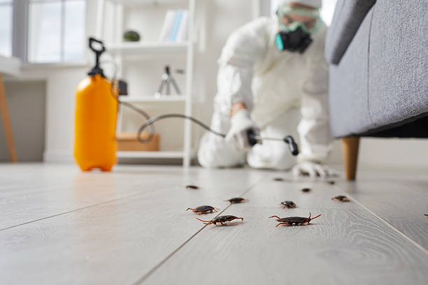 Trusted Bed Bug Control service in North Vacherie, LA - Nex Pest Control