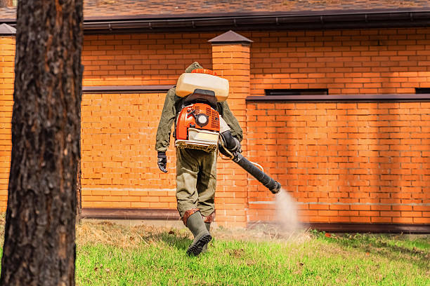 Trusted Cockroach Control service in North Vacherie, LA - Nex Pest Control